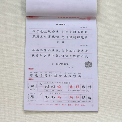 Тетрадь для школьников для письма, учебные пособия, коллекция 2021, 5 года