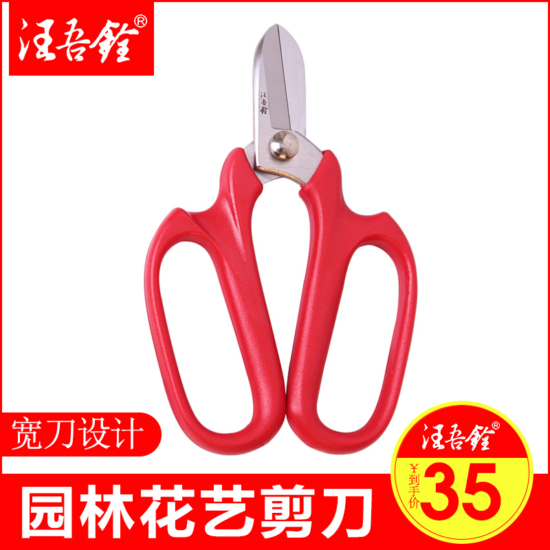 Wang Wuquan scissors Gardening wide head small scissors Garden floral scissors Household pruning flower plant pruning scissors