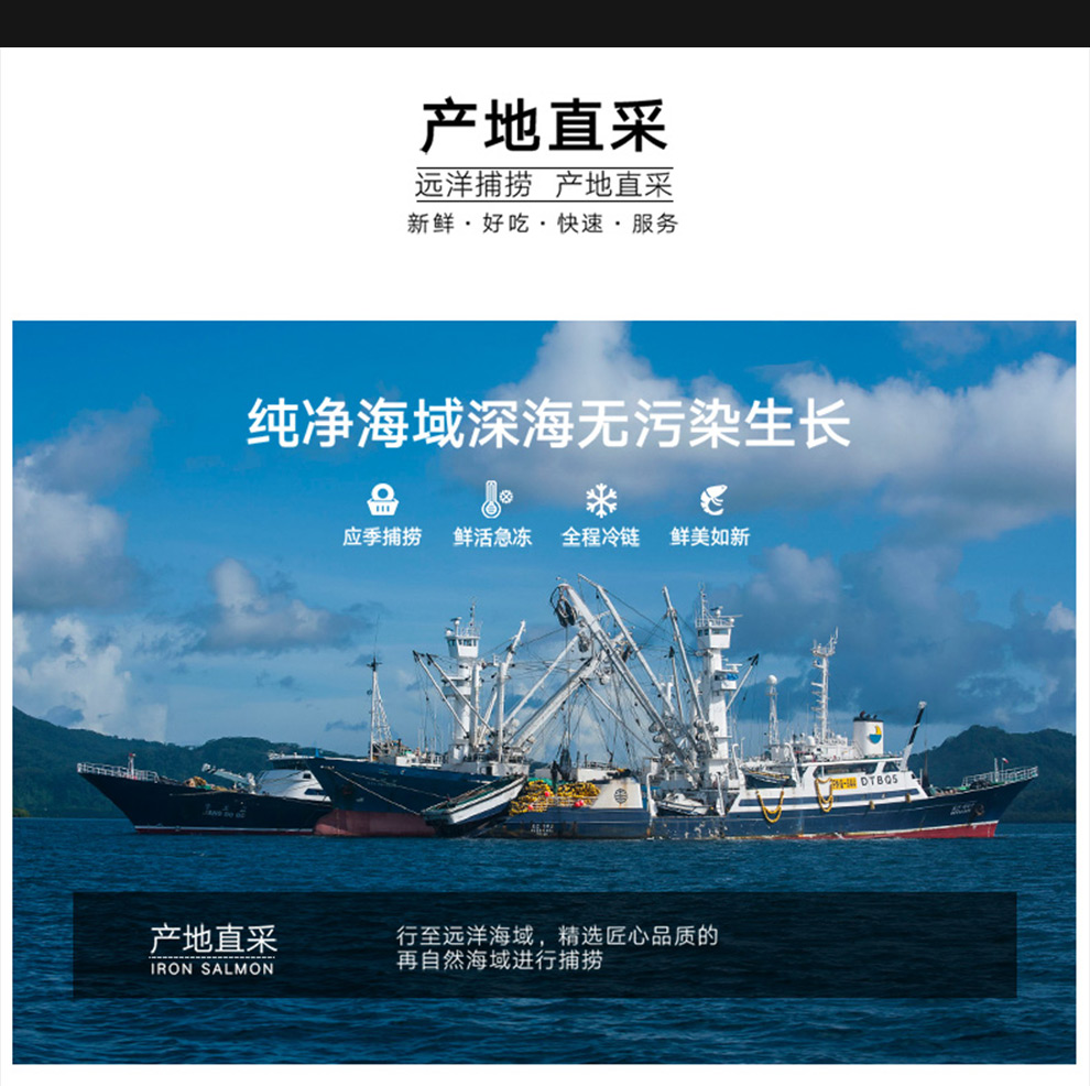 星河湾 新鲜冷冻 阿根廷鱿鱼花 200g*5件 图5