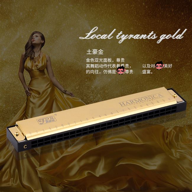 24 lỗ đa âm c trẻ em người lớn mới bắt đầu nhập chuyên nghiệp chơi nhạc cụ hòa tấu nhạc cụ phương Tây đàn điện