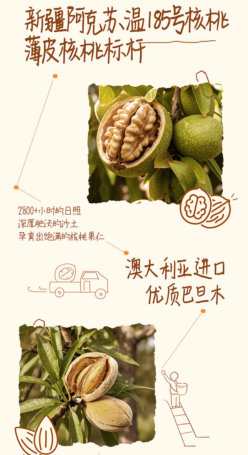 安享好物 安享C级含乳饮料-晨光核桃 巴旦木牛奶  