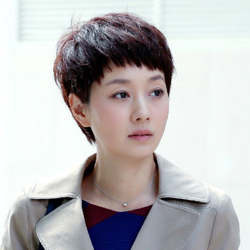 Luo Zijun's Same Style Wig, Fashionable Female Short Hair, Mother's Full Headgear, Short Straight Hair, Middle-Aged and Elderly Face-Shaping Wig Hairstyle Luo Zijun's Same Style Wig, Fashionable Female Short Hair, Mother's Full Headgear, Short Straight Hair, Middle-Aged and Elderly Face-Shaping Wig Hairstyle