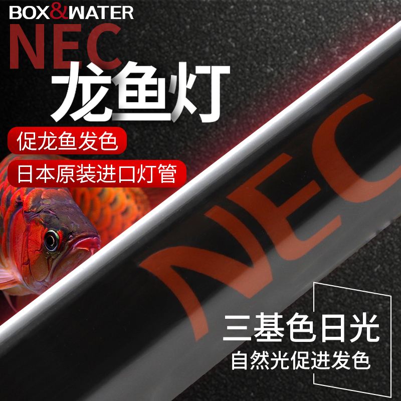 Boxwater Nec Fish Bottle Lights Dragon Fish Lights Specialized Coloring Red Dragon Aquarium Waterproof Dive Lights