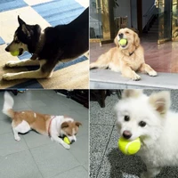 3 Pack Toy Ball Launcher Ball Machine Tennis Ball Dog Pet Toss Đào tạo Màu xanh hồng vợt tennis babolat