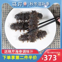 Xiaoqin sea cucumber 500g instant sea cucumber Dalian instant sea cucumber Dalian frozen sea cucumber Liaoning aquatic products