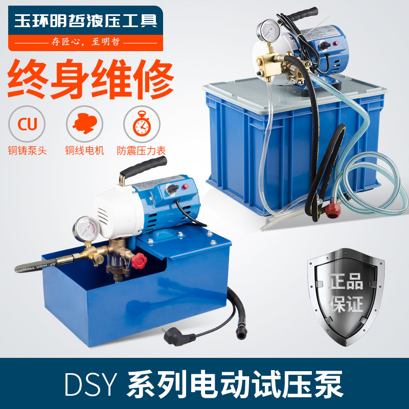 Portable electric test pump DSY-60 25100 pipe test pump pressure pump test pump full copper head 