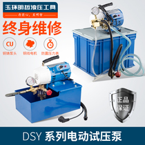 Portable electric pressure test pump DSY-60 25 100 pipeline pressure test pump pressure pump test pump all copper head