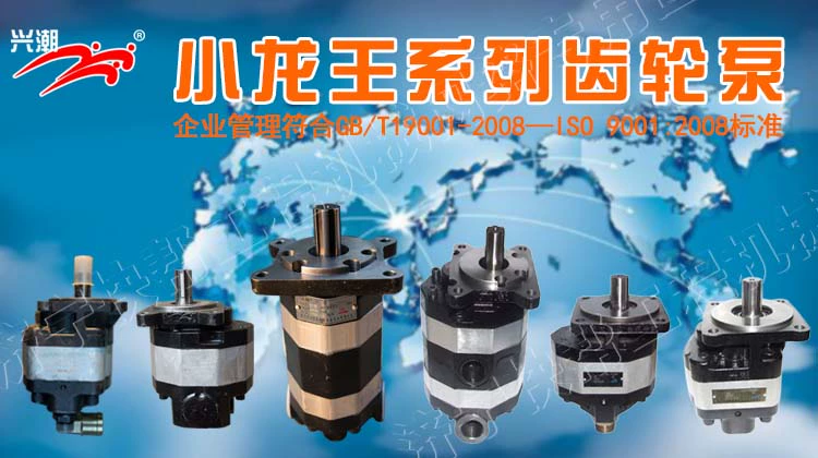 bơm thủy lực trục vít Bơm bánh răng thủy lực Xiaolongwang FC32 40 50 63 100 bơm đôi 5040 4032 4040 mua bán phụ tùng bơm thủy lực bơm thủy lực cũ