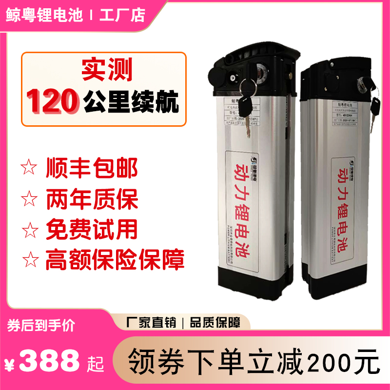 Driving takeaway folding electric vehicle battery large capacity high battery life silver fish Haiba 60 volt 48V bicycle battery