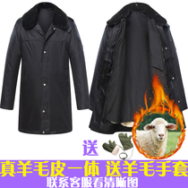 Lamb fur cotton large coat male thickened leather hair integrated winter anti-cold Northeast Lauprotect security black wool cotton padded jacket