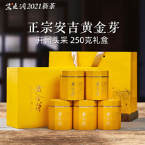 Spot 2021 new tea Zhu Zhirun Anji golden buds before Ming boutique buds open garden first collection gift box 250g