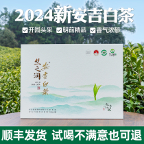 竺之润7礼盒装(2024新茶)正宗安吉白茶开园头采明前精品原产地