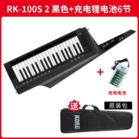 Черные оригинальные литиевые батарейки с зарядкой, 100S