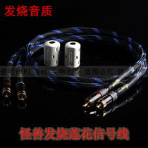 National American Monster Hair Burning Class Double Lotus Heads Audio Line RCA Signal Line Fever Sound Connection Line