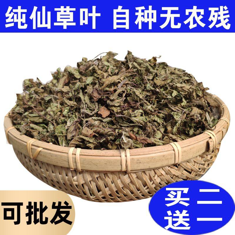 Xiancao Dry Roasted Xiancao Raw Material Whole Leaf Xiancao Dry Roasted Xiancao Fresh Dry Dry Grass Pure Leaves Whole Leaf Black Cold Powder Grass