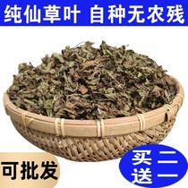 Grass dry roasted grass raw material Whole leaf grass dry roasted grass Fresh grass Dry pure leaf Whole leaf black jelly grass