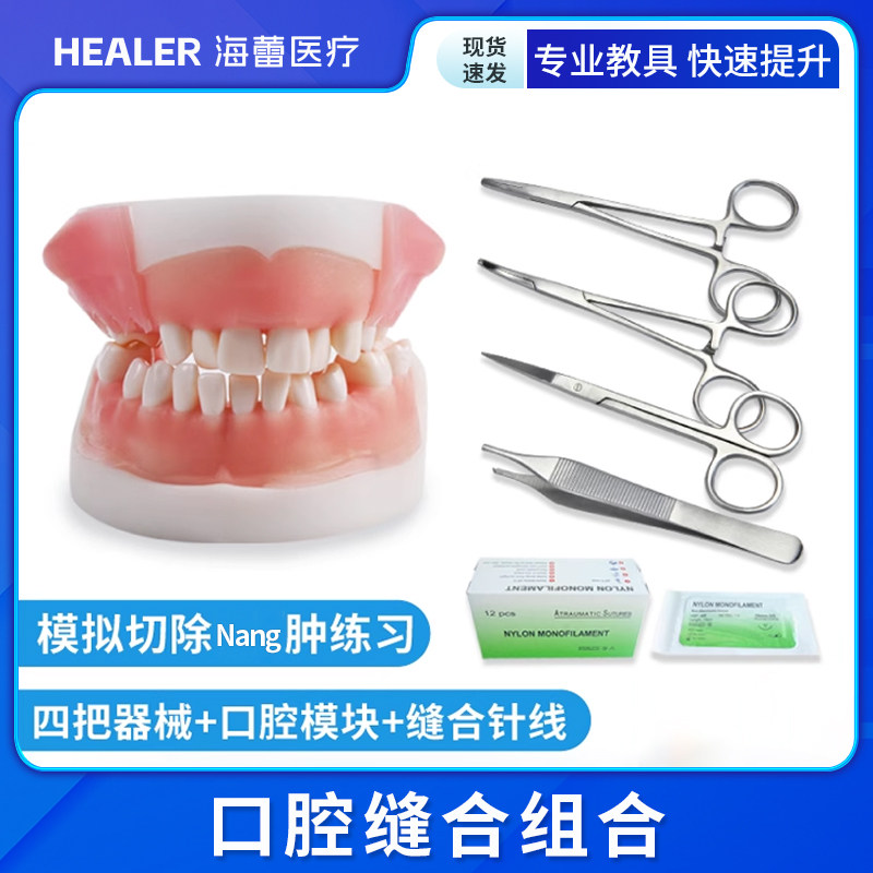 口腔缝合练习模型带针线器械备牙牙周可拆卸牙龈缝合医用教学考试