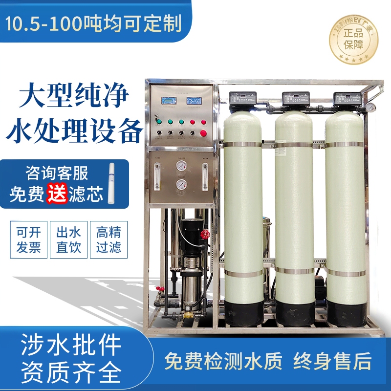 Reverse Osmosis Ro Pure Water Machine Industrial Water Purification Equipment Large Edi Ultra-Pure Water Filter Direct Drinking Water Machine