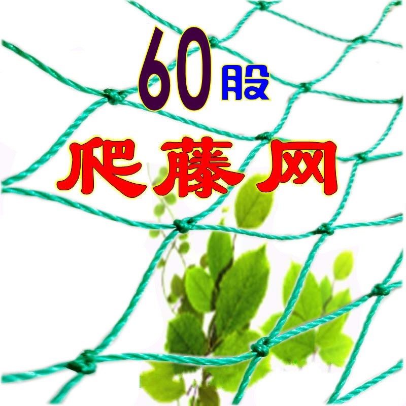 Plant climbing vine net bold planting net loofah net bitter gourd hanging melon pumpkin net passion fruit climbing plant net - Taobao