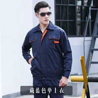 Темно -синий топ хризантема