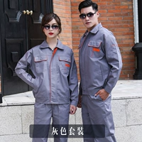 Серый набор хризантема