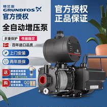 Denmarks Granrich GRUNDFOS fully automatic pressurized water pump CMB3-37PM1 strong power