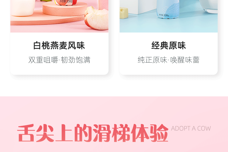 认养一头牛 高端法式酸奶230g*10瓶*2提 图5