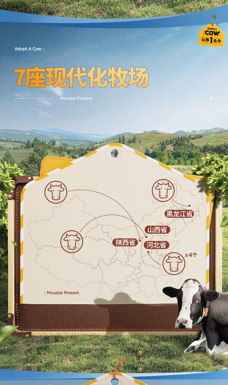 认养一头牛 法式常温酸奶 200g*12盒*2箱 图7