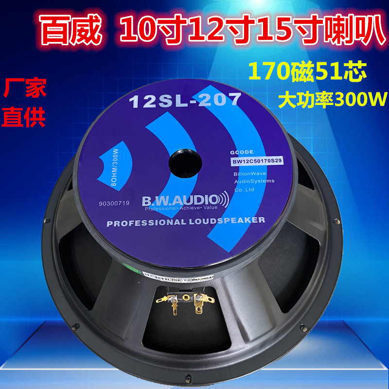 Budweiter 10 Inch 12 Inch 15 Inch Bass Horn High Power 300W Professional Performance Wedding Sound Square Dance Speaker
