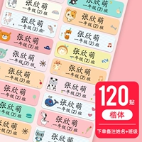 120-цветный фон+класс+обычный корпус