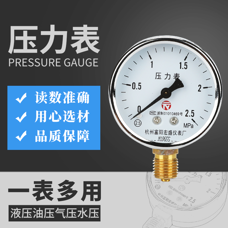 Hangzhou Fuyang Macro Sheng Radial Vacuum Pressure Meter Y-60 Negative Pressure Gauge Water Pressure Hydraulic Pressure Gauge 0 6mpa