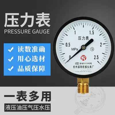 Hangzhou Fuyang Hongsheng ordinary radial pressure gauge Y-100 vacuum hydraulic pressure gauge 1 6mpa