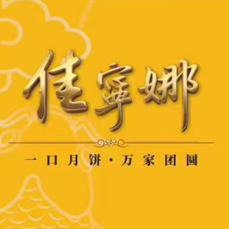 海南佳宁娜总店的LOGO