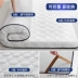 Latex Nệm Nệm Cushion Furnishing Ký túc xá dày sinh viên Độc thân -Person Tatami đệm đệm Cavernous để thuê nhà ở