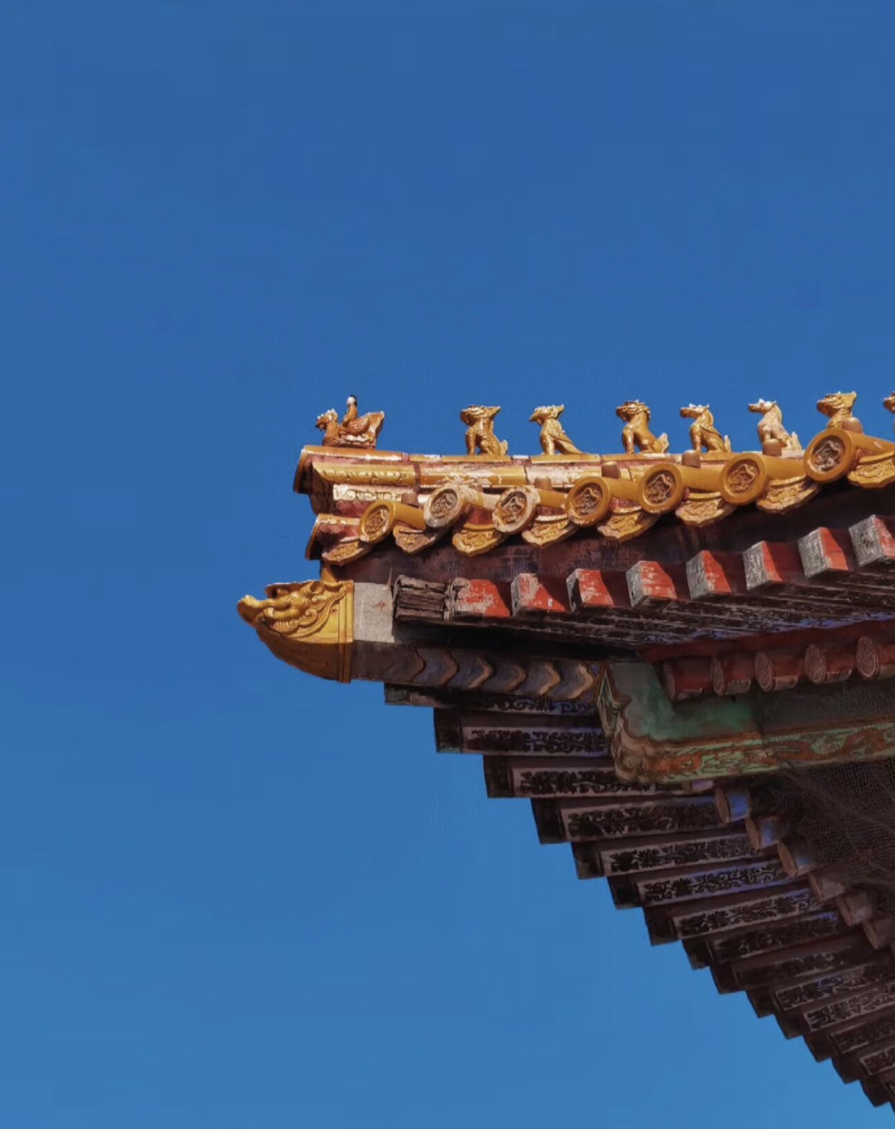 居安普陀结缘祈福的LOGO