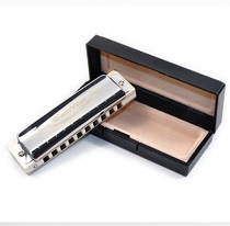 Dongfang Ding T008 Ten-hole blues beginner Blues Harmonica beginner