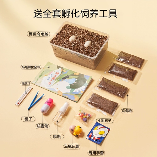 Игрушка для мальчиков и девочек, детский комплект для школьников для экспериментов ручной работы, наука, DIY