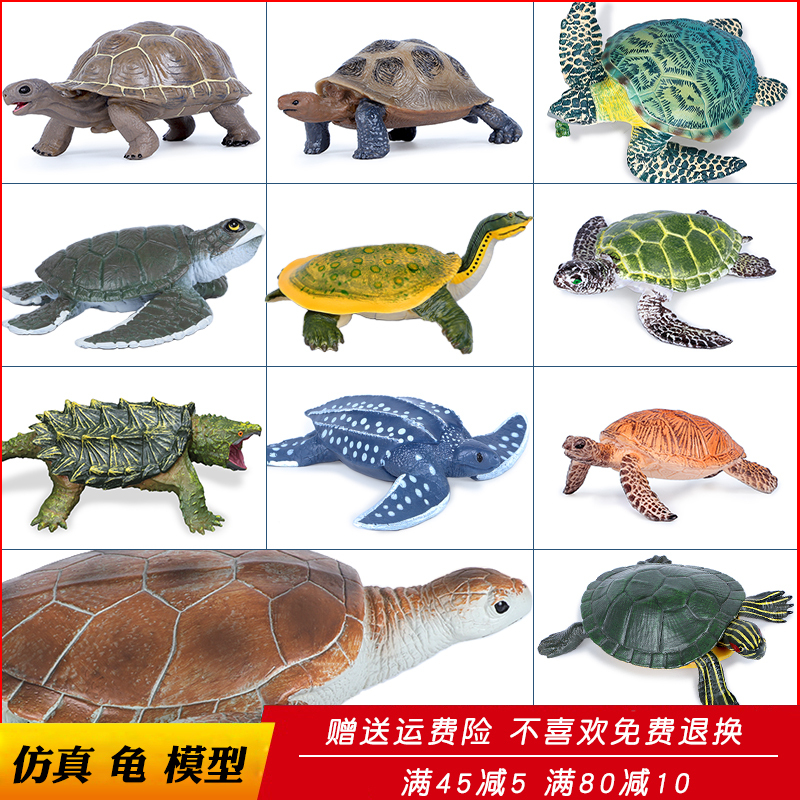 Simulated Marine Life Model Turtle Toy Tortoise Brazilian Turtle Soft-Shell Turtle Sea Turtle Alligator Turtle Children's Educational Gift Simulated Marine Life Model Turtle Toy Tortoise Brazilian Turtle Soft-Shell Turtle Sea Turtle Alligator Turtle Children's Educational Gift
