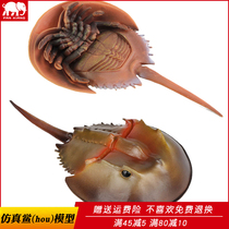 Solid simulation Chinese horseshoe crab animal marine biological toy American fish children cognitive gift