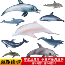 Simulation dolphin toy animal model doll plastic Children Science Education boys and girls cognitive gift