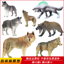 Simulation wolf toy animal model plastic large gray wolf Snow Wolf wild animal fear Wolf science education childrens toy