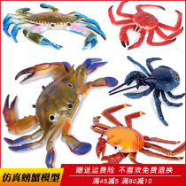Simulation sea animal shuttle crab Crab model toy King crab Coconut crab Large childrens cognitive gift