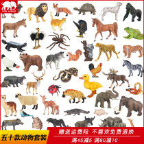 Childrens simulation safari toy model world Lion Tiger Hippo Rhino Elephant Giraffe set