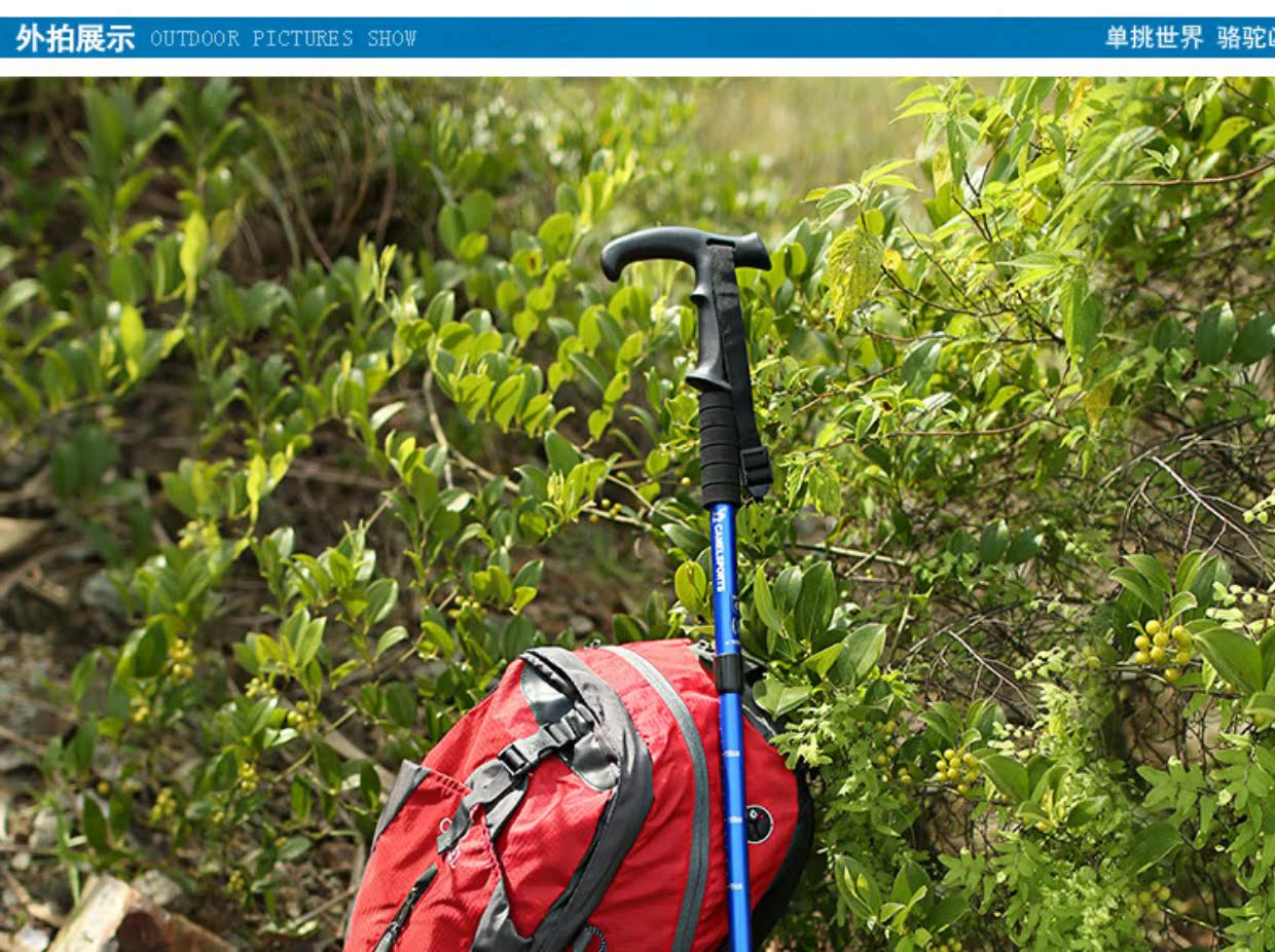 Lạc đà ngoài trời bốn phần loại T trekking ánh sáng cực nam và nữ đi bộ trekking cực di động gậy đi bộ gậy gậy cho người cao tuổi