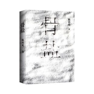 骨盐（80后实力派小说家陈再见长篇新作 少年失踪 雷管炸车 盐田白骨 宗族械斗 灵魂救赎 人心迷局）新经典
