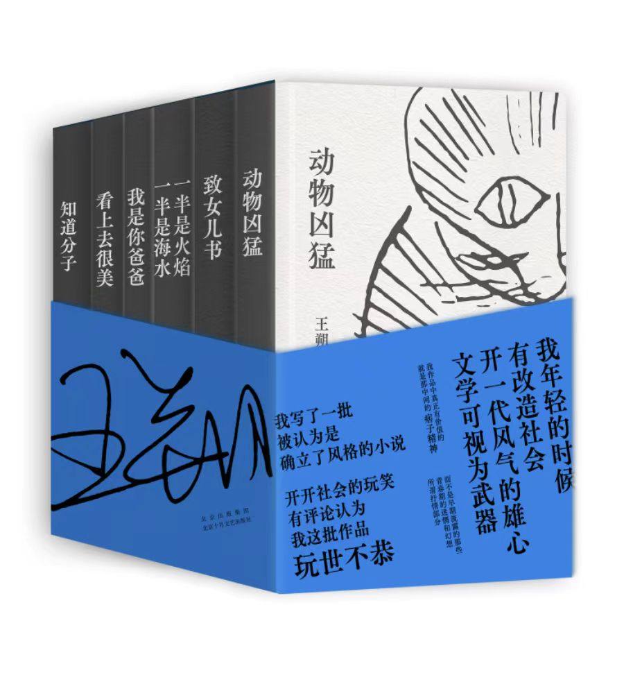 王朔经典作品集（玩儿才是正经事！王小波刘震云窦文涛冯小刚都爱读的王朔！独&middot;家&middot;授&middot;权，精装珍藏）
