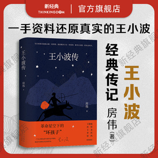 革命星空下 经典 包邮 黄金时代名人图书 坏孩子 王德威孙郁推荐 梁鸿序言导读 传记新修版 房伟 王小波传