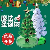 Christmas kids small gift magic Christmas tree toy paper tree blossom watering crystalline tree creative ornaments