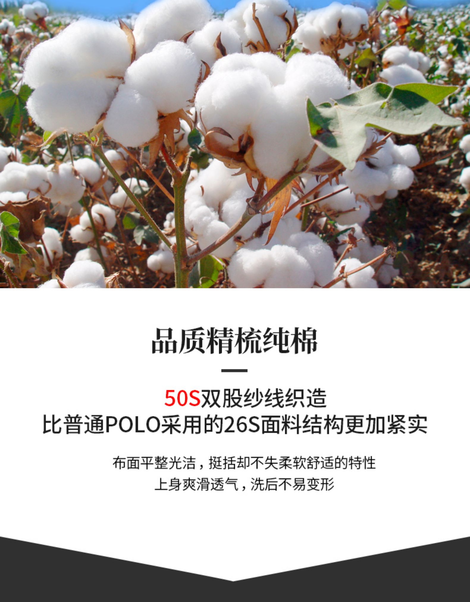 MF 男士50支精梳全棉 短袖/长袖Polo衫 图11