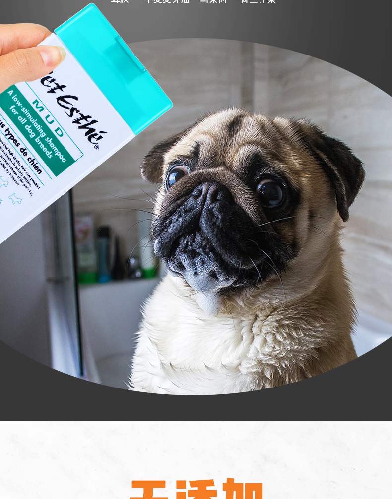 Gel tắm Petesthe Beth Aisie Pet Nhật Bản Teddy Khử trùng khử mùi Chăm sóc tóc Cat General - Cat / Dog Beauty & Cleaning Supplies 	mua lược chải lông mèo